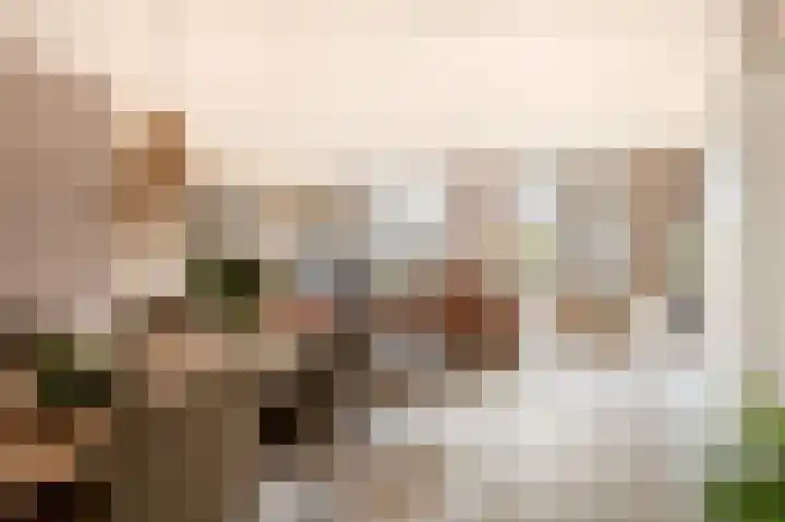 Gropiuslijn 24 Zoetermeer thumbnail 10