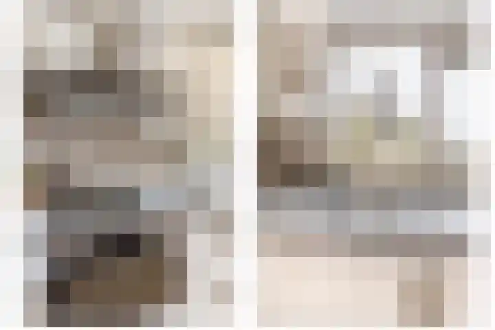 Gropiuslijn 24 Zoetermeer thumbnail 16