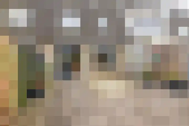 Gropiuslijn 24 Zoetermeer thumbnail 19