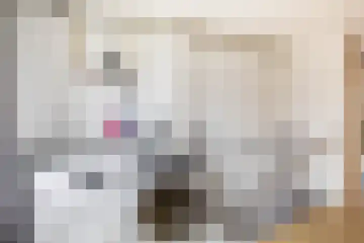 Gropiuslijn 24 Zoetermeer thumbnail 27