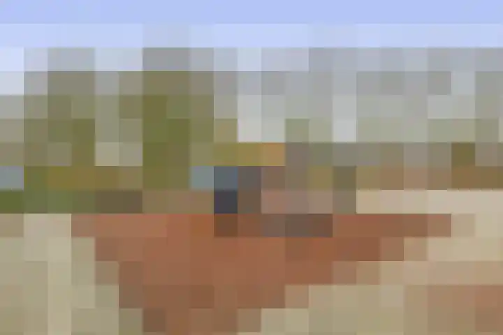 Gropiuslijn 24 Zoetermeer thumbnail 33