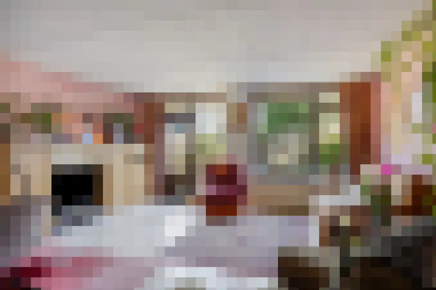 Gropiuslijn 26 Zoetermeer thumbnail 12