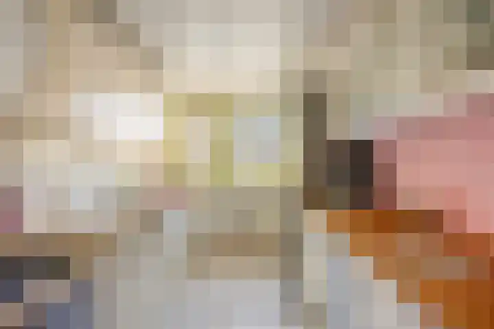 Gropiuslijn 26 Zoetermeer thumbnail 19