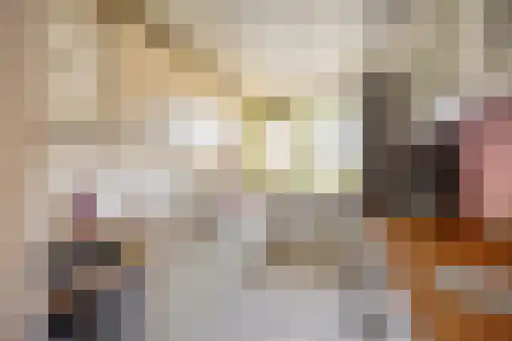 Gropiuslijn 26 Zoetermeer thumbnail 20