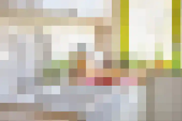 Gropiuslijn 26 Zoetermeer thumbnail 22