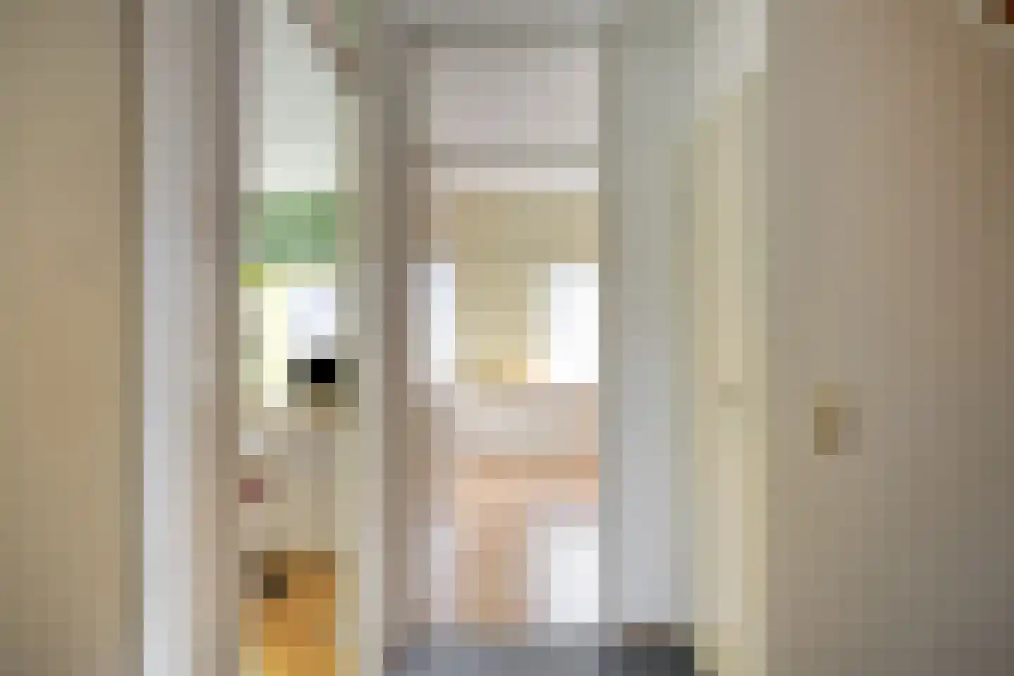 Gropiuslijn 26 Zoetermeer thumbnail 24