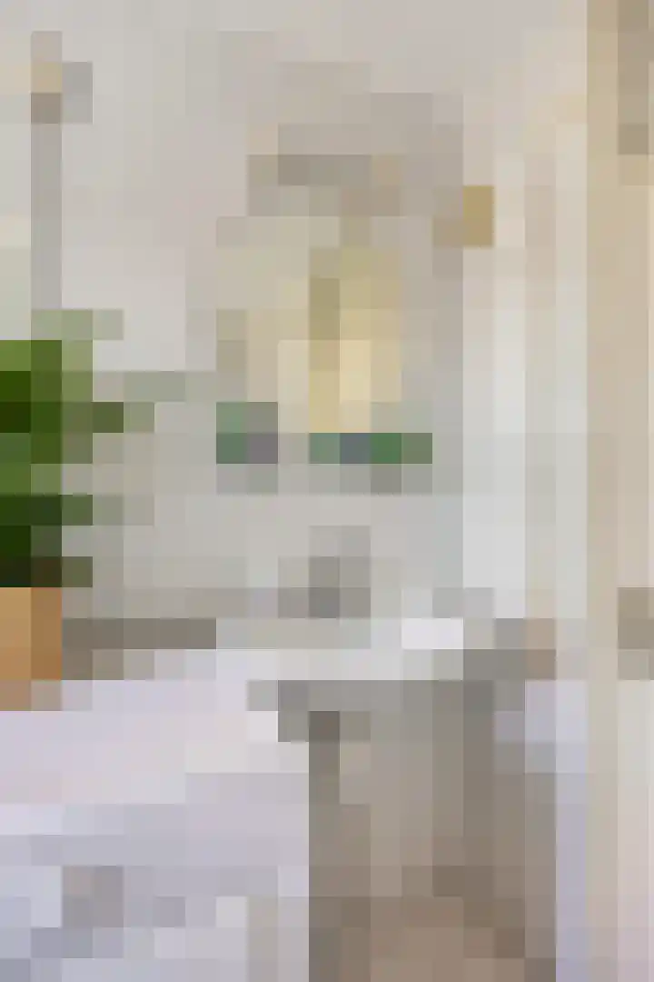 Gropiuslijn 26 Zoetermeer thumbnail 30