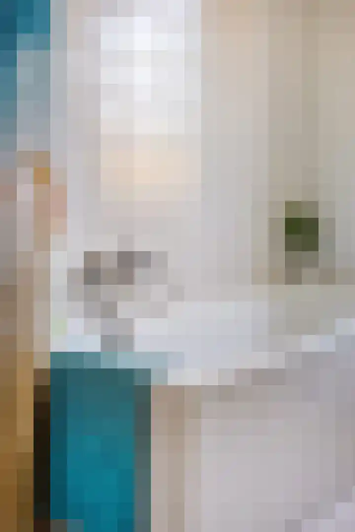 Gropiuslijn 26 Zoetermeer thumbnail 31
