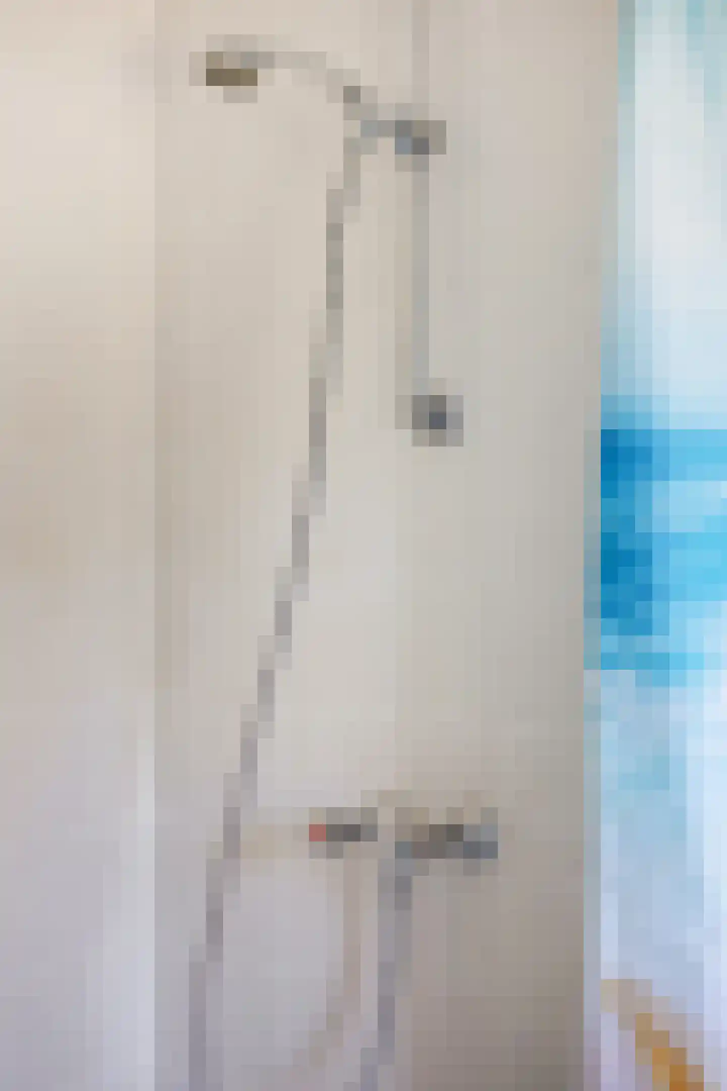 Gropiuslijn 26 Zoetermeer thumbnail 32