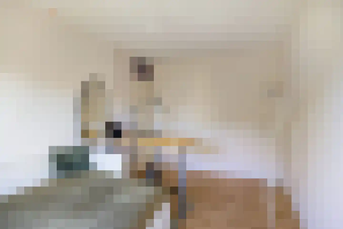 Gropiuslijn 26 Zoetermeer thumbnail 35