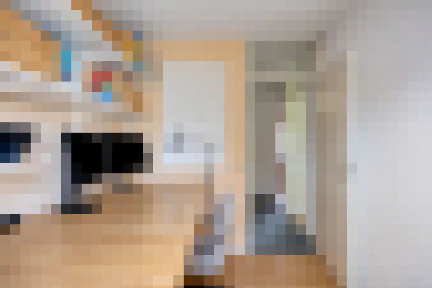 Gropiuslijn 26 Zoetermeer thumbnail 37