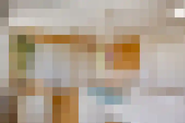 Gropiuslijn 26 Zoetermeer thumbnail 39