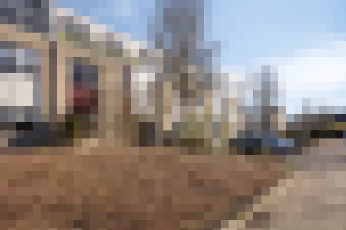 Gropiuslijn 26 Zoetermeer thumbnail 4