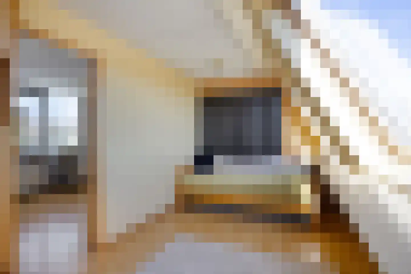 Gropiuslijn 26 Zoetermeer thumbnail 48