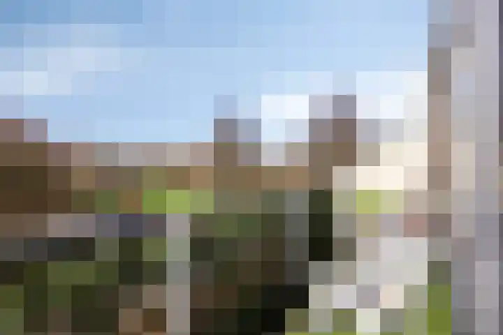 Gropiuslijn 26 Zoetermeer thumbnail 49
