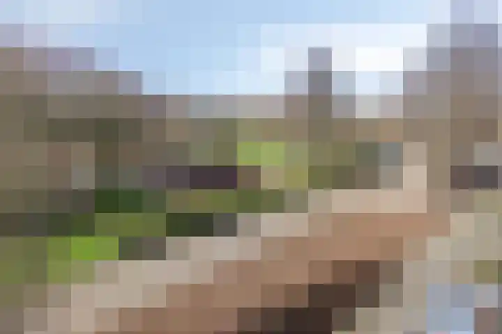 Gropiuslijn 26 Zoetermeer thumbnail 51