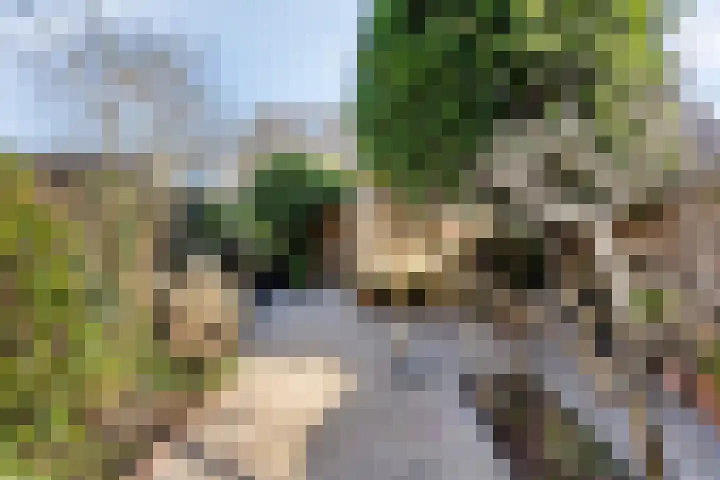 Gropiuslijn 26 Zoetermeer thumbnail 52