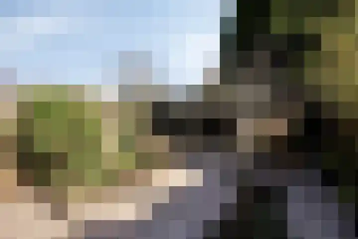 Gropiuslijn 26 Zoetermeer thumbnail 53