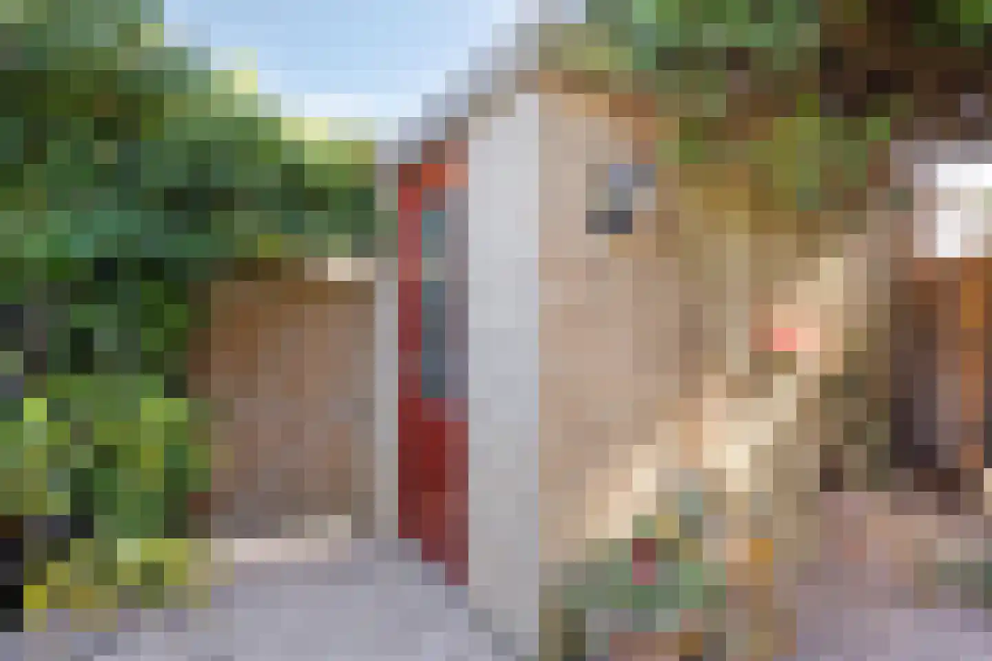 Gropiuslijn 26 Zoetermeer thumbnail 54