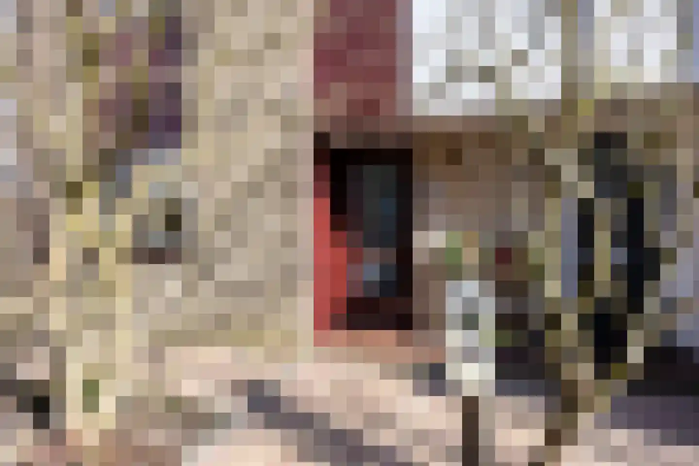 Gropiuslijn 26 Zoetermeer thumbnail 6