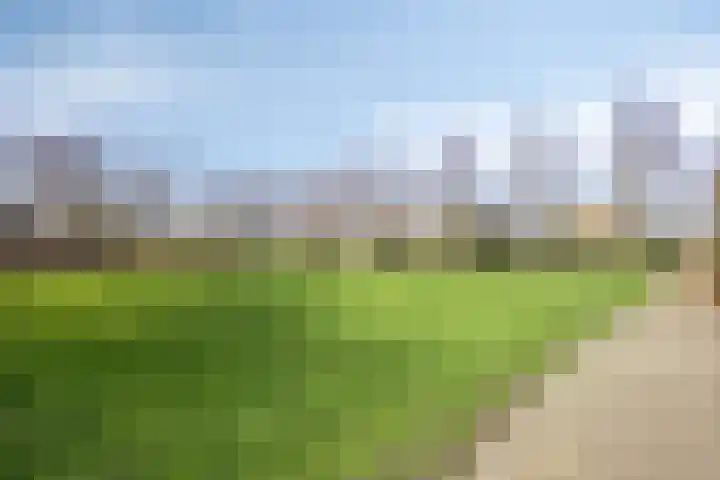 Gropiuslijn 26 Zoetermeer thumbnail 60