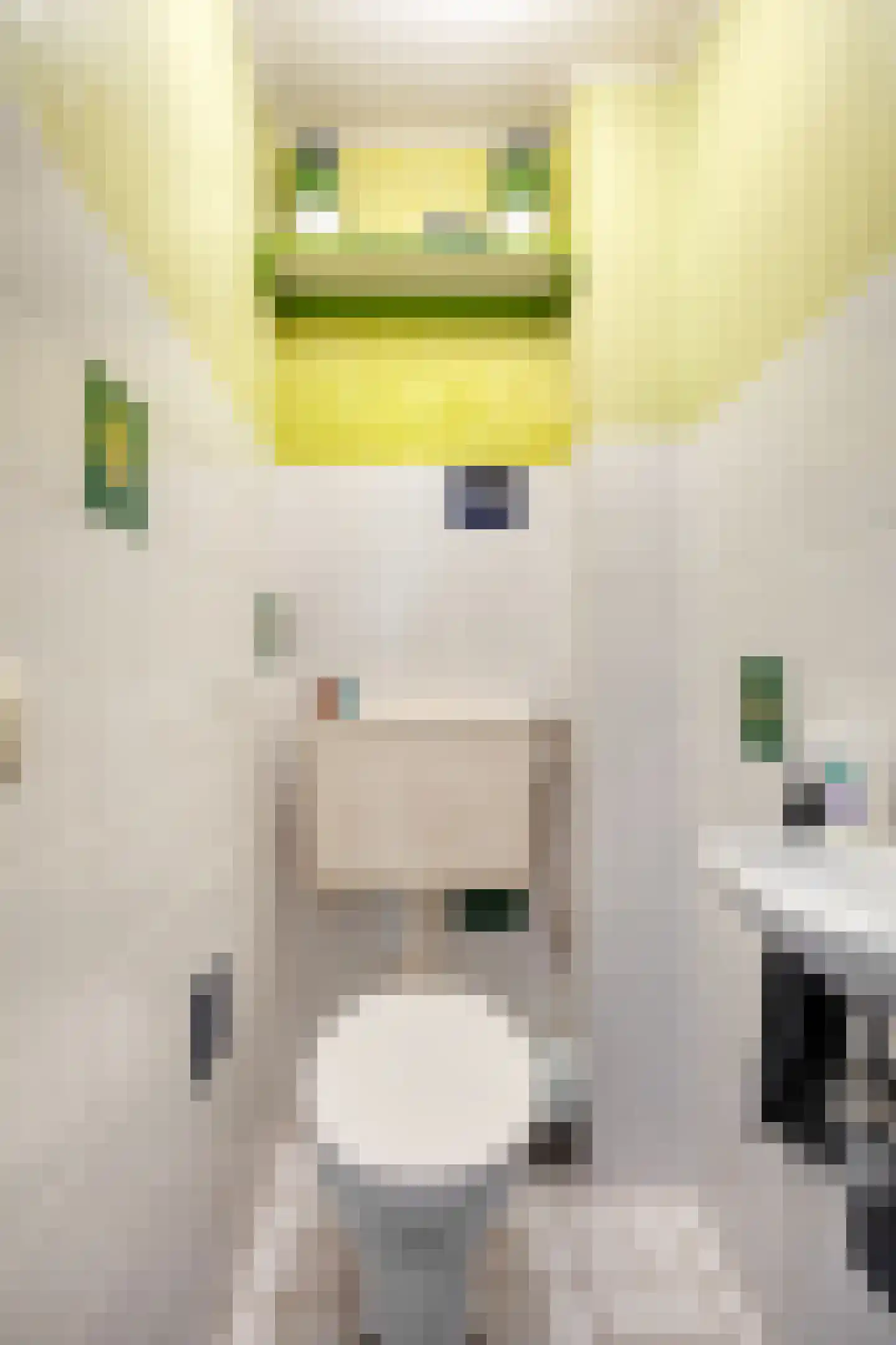 Gropiuslijn 26 Zoetermeer thumbnail 8