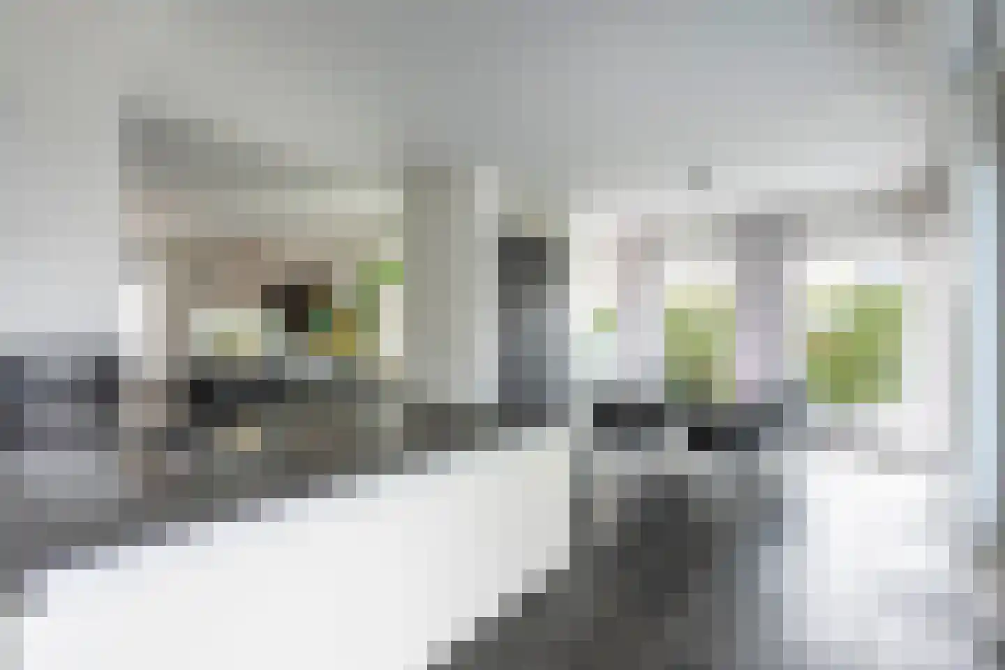 Gropiusstraat 6 Landgraaf thumbnail 9