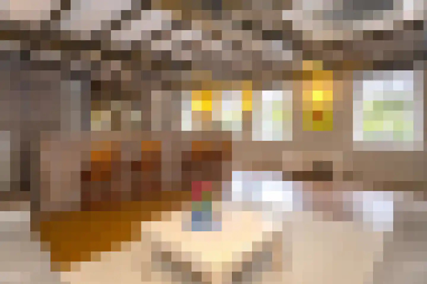 Grosthuizen 80 Avenhorn thumbnail 11