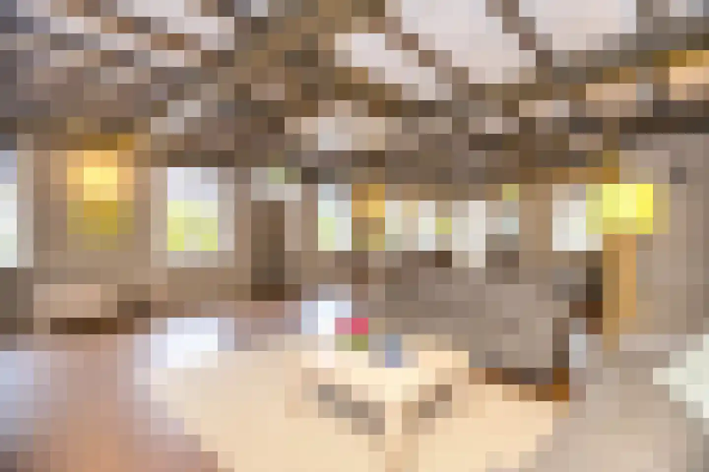 Grosthuizen 80 Avenhorn thumbnail 12