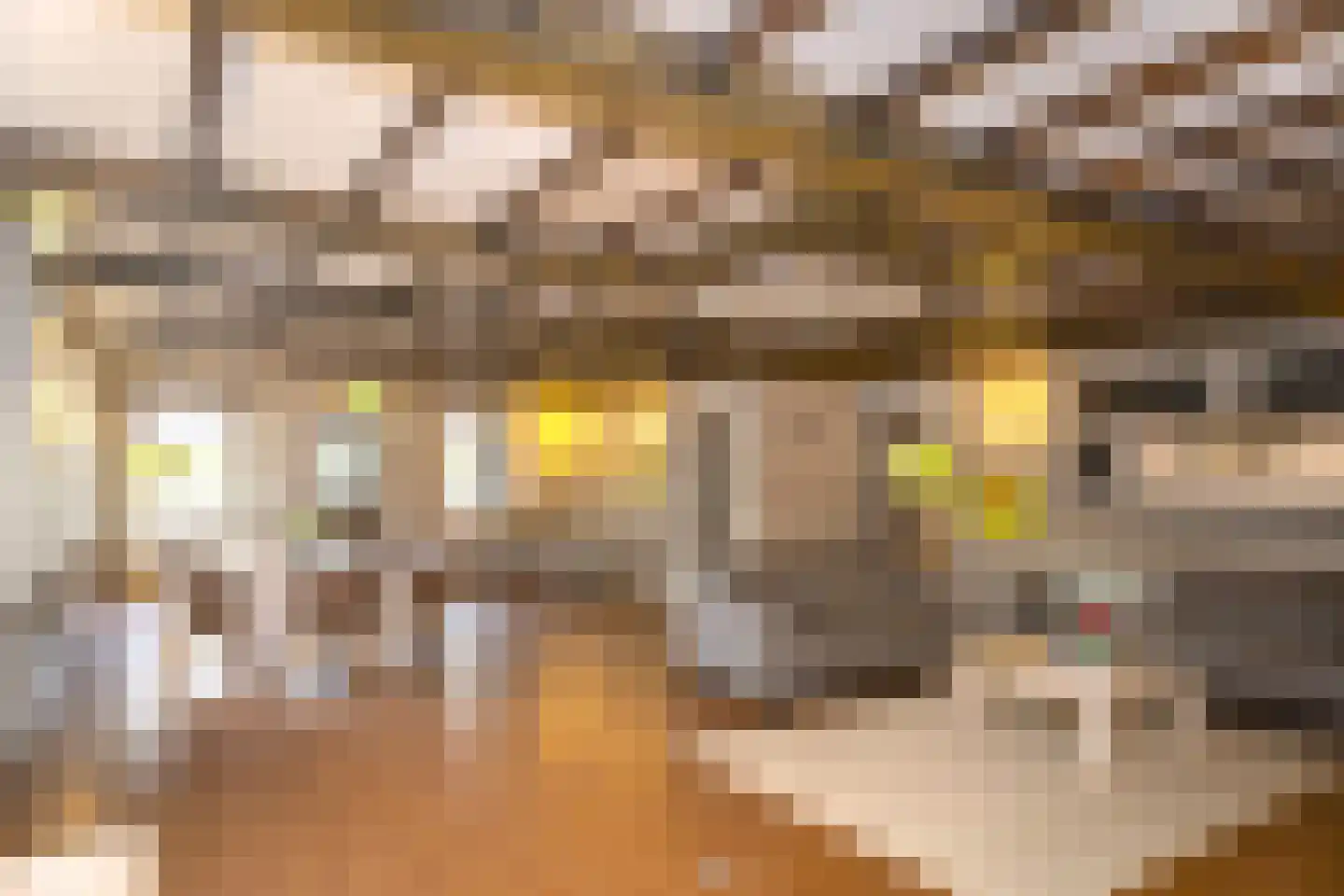 Grosthuizen 80 Avenhorn thumbnail 14