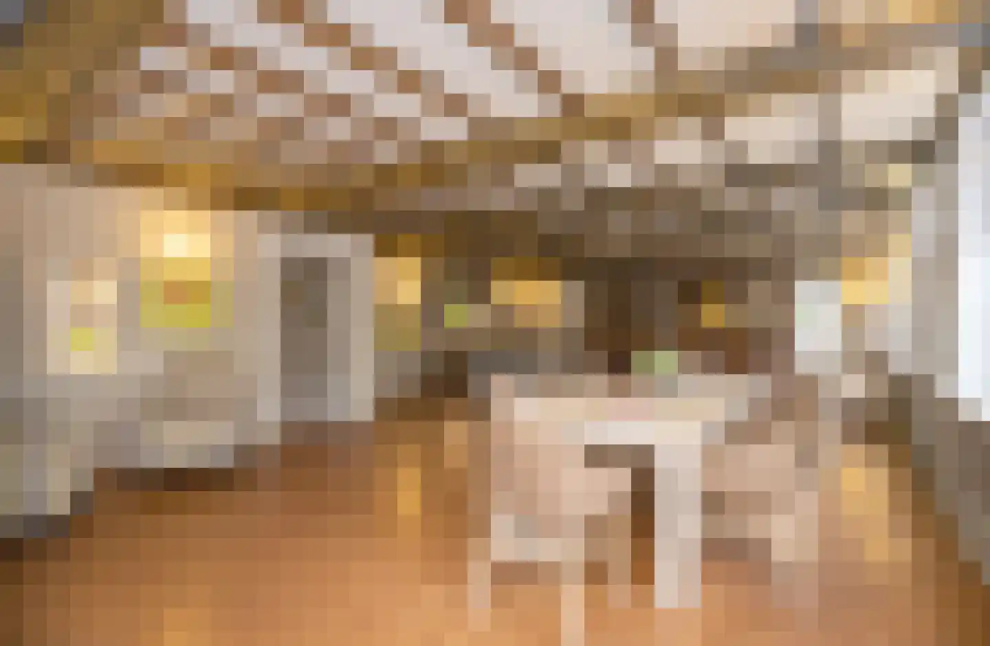 Grosthuizen 80 Avenhorn thumbnail 4