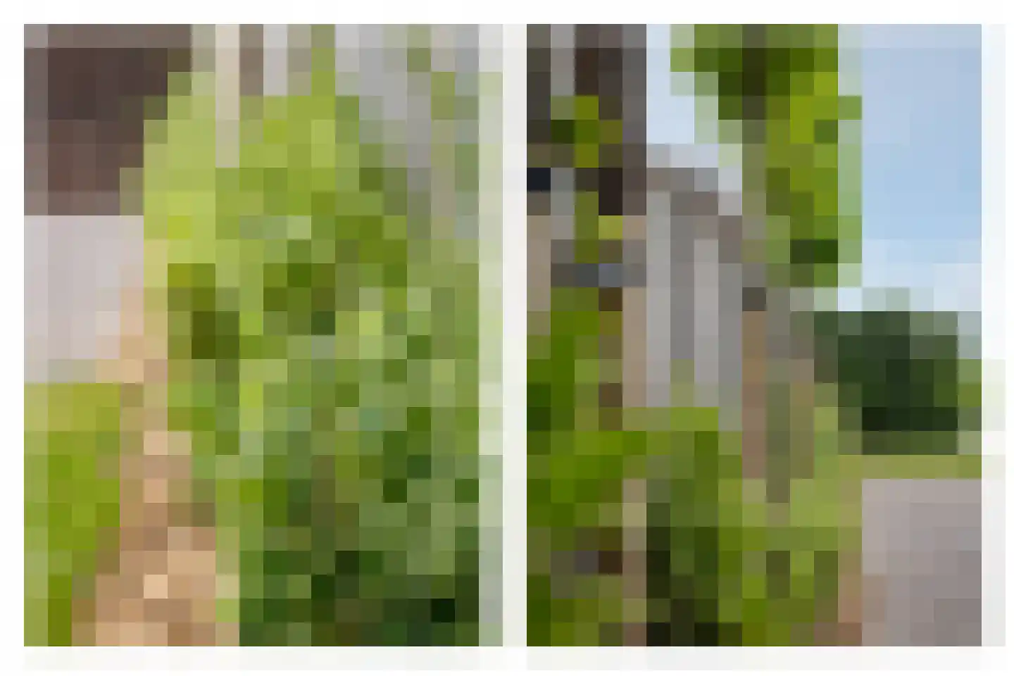 Grosthuizen 80 Avenhorn thumbnail 44