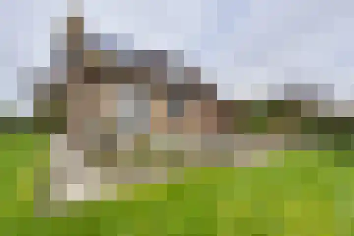 Grosthuizen 83 A Avenhorn thumbnail 28