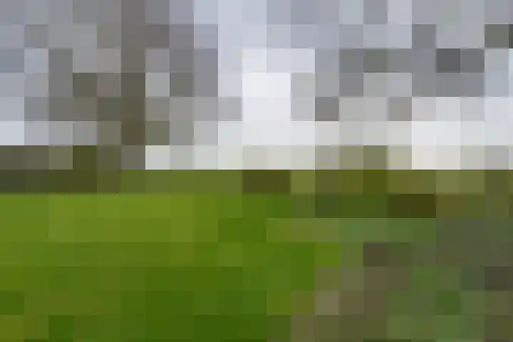 Grosthuizen 83 A Avenhorn thumbnail 29