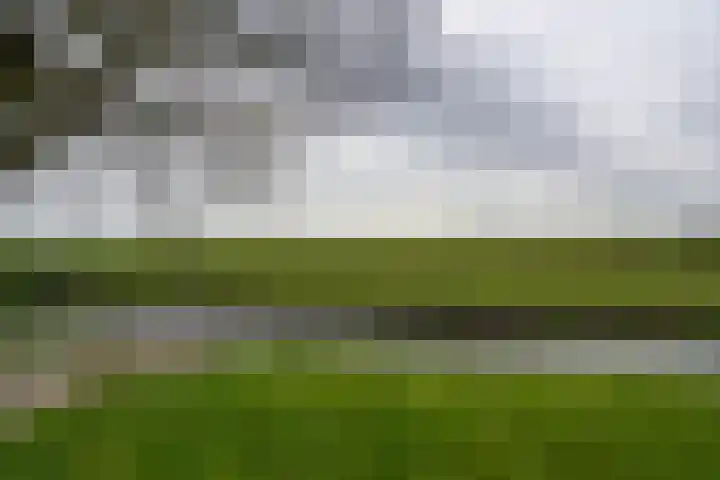 Grosthuizen 83 A Avenhorn thumbnail 31