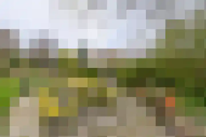 Grosthuizen 83 A Avenhorn thumbnail 32
