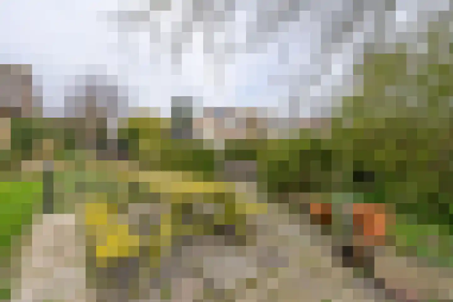 Grosthuizen 83 A Avenhorn thumbnail 32