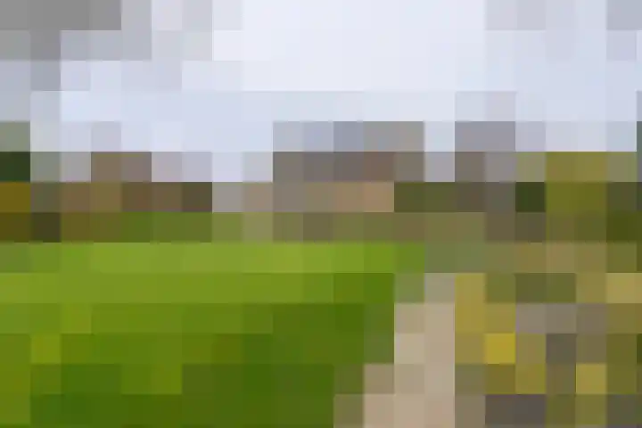 Grosthuizen 83 A Avenhorn thumbnail 33