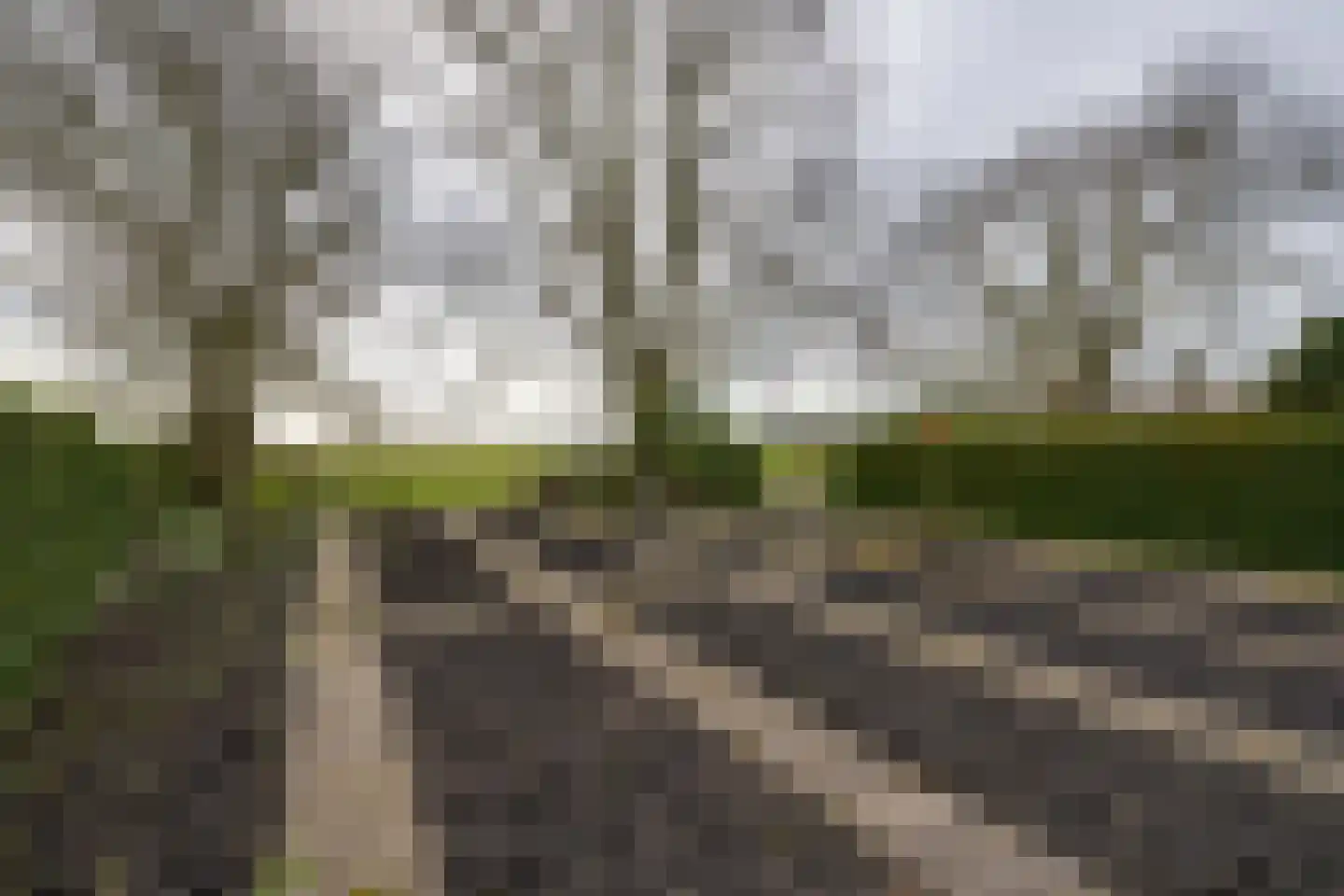 Grosthuizen 83 A Avenhorn thumbnail 34