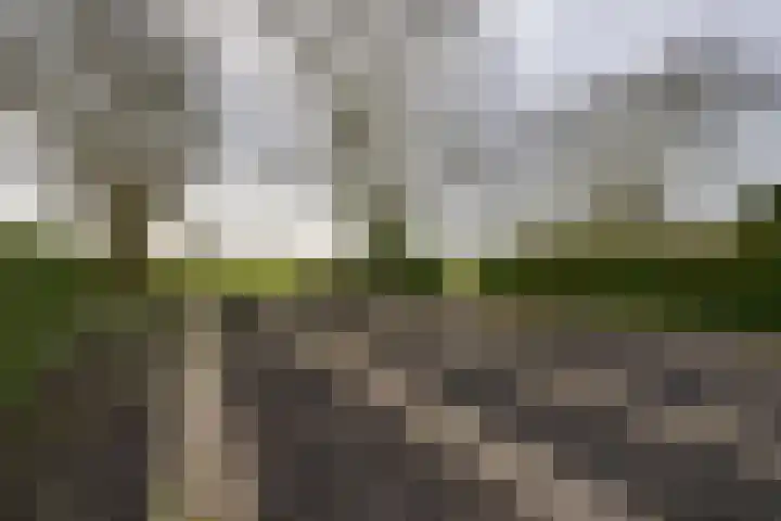 Grosthuizen 83 A Avenhorn thumbnail 34