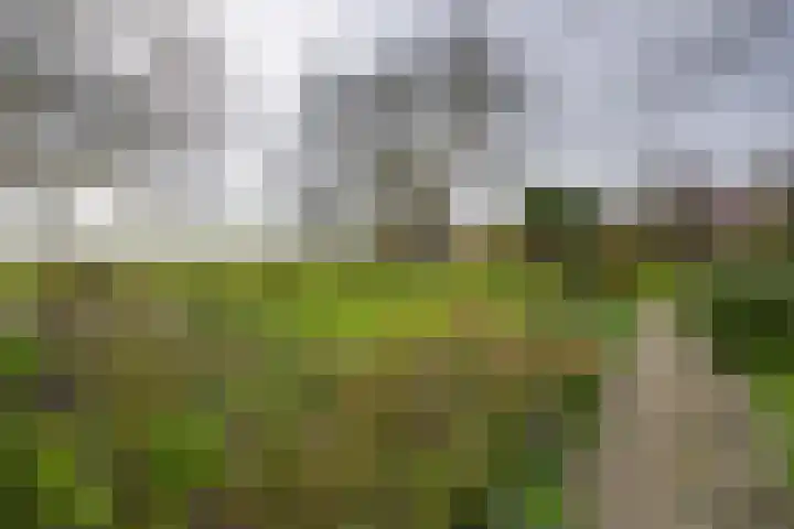 Grosthuizen 83 A Avenhorn thumbnail 35