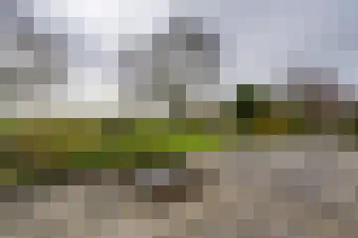 Grosthuizen 83 A Avenhorn thumbnail 36