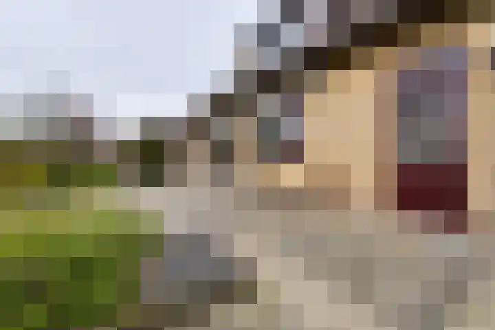 Grosthuizen 83 A Avenhorn thumbnail 37