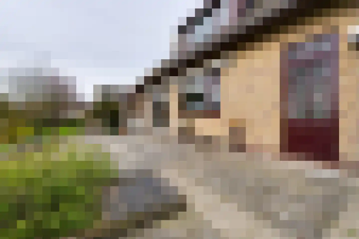 Grosthuizen 83 A Avenhorn thumbnail 37