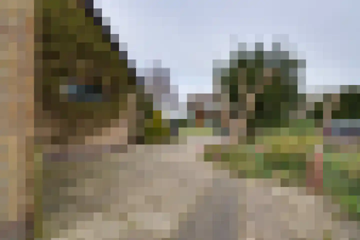 Grosthuizen 83 A Avenhorn thumbnail 38