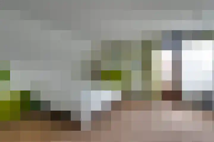 Grosthuizen 83 A Avenhorn thumbnail 47