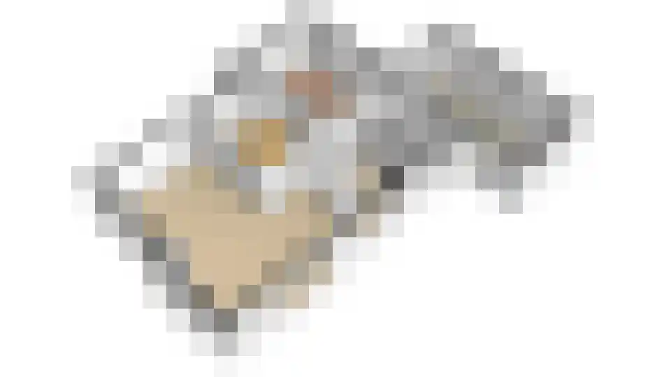 Grosthuizen 83 A Avenhorn thumbnail 65