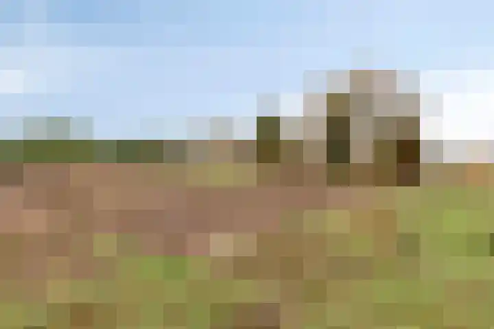 Grote Aard 25 Veldhoven thumbnail 4