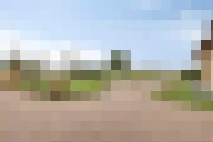Grote Aard 25 Veldhoven thumbnail 49