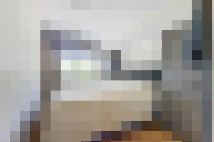 Grote Abeele 48 Oost-Souburg thumbnail 32